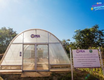 PEA สนับสนุน “โรงอบแห้งพลังงานแสงอาทิตย์” “บ้านไฮตาก พัฒนาแปรรูปผลผลิต สร้างรายได้ชุมชน