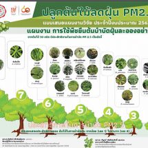 วช.หนุนงานวิจัย มจธ.ใช้พืชยืนต้นลดฝุ่น PM 2.5 เสริมสร้างคุณภาพที่ดีในอากาศ 