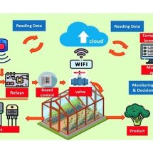 วช.หนุนทีมวิจัย มธ.พัฒนาภาคการเกษตรไทยอย่างยั่งยืน ด้วยระบบเกษตรอัจฉริยะ DSmart Farming เน้นสร้างการเรียนรู้ให้กับผู้ใช้งาน พร้อมแชร์ฐานข้อมูลองค์ความรู้ให้เกษตรกรเข้าถึงได้ ทีมวิจัยเผยนวัตกรรมนี้ ช่วยลดการใช้น้ำในการปลูกพืชได้กว่า 40 %