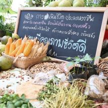 ตามรอยเจ้าฟ้านักอนุรักษ์ เที่ยวงานมหกรรมทรัพย์ดิน สินน้ำ 1 – 3 เม.ย. นี้ ที่พิพิธภัณฑ์การเกษตรฯ ปทุมธานี