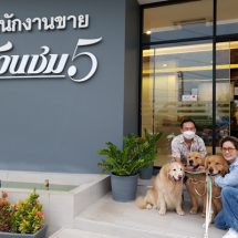 ส่องความน่ารัก “จุ๊มเหม่ง-เจได-ใจดี” อินฟลูสุนัข รีวิวบ้านเดี่ยวชวนชม 5 ไทรน้อย-นนทบุรี