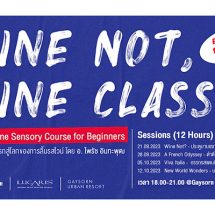Wine Not, Wine Class? : A Basic Wine Sensory Course for Beginners เปิดประตูบานแรกสู่โลกของไวน์กับการลิ้มรสและชื่นชมฉบับพื้นฐาน หลักสูตรแรกที่จัดโดย The People