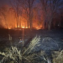 สนับสนุนโครงการจัดทำแนวกันไฟป่าและการวางแผนบริหารจัดการไฟป่าอย่างยั่งยืนพื้นที่แนวกันชนอุทยานแห่งชาติเขาใหญ่ด้านอำเภอปากช่อง จังหวัดนครราชสีมา