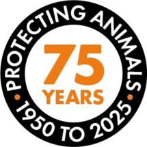 จากสัตว์ตัวแรก… สู่พันล้านชีวิต World Animal Protection 75 ปีที่เราไม่ทิ้งกัน