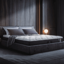 ถอดรหัสความสำเร็จ : ทำไม Dunlopillo รุ่น Frostburg คือที่นอนยอดนิยมตลอดกาล