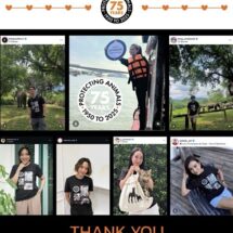 ดารา-คนดัง รวมพลังร่วมส่งเสียงแทนสัตว์ไร้เสียง ฉลอง 75 ปี World Animal Protection ในแคมเปญ “Don’t Forget Them”