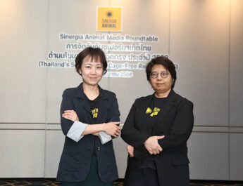 Sinergia Animal เผยผลจัดอันดับไข่ไก่ปลอดกรงในซูเปอร์มาร์เก็ตไทย ปี 2568 ชี้ช่องว่างความโปร่งใสและมาตรฐานสวัสดิภาพสัตว์ในธุรกิจค้าปลีกไทย