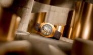 DIASTAR ORIGINAL SKELETON สีสันแห่งฤดูใบไม้ร่วง ปลุกจังหวะหัวใจให้เปล่งประกายสีทอง