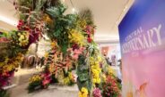 ห้างเซ็นทรัลฉลอง 79 ปีอย่างยิ่งใหญ่! “CENTRAL ANNIVERSARY 2026 – WHERE WONDERS BLOOM” เนรมิต 6 โลกแห่งดอกไม้และจินตนาการ ชม Art & Flower Installation จาก YUTA OKUDA จัดเต็มกิจกรรมสร้างสรรค์ เมนูอาหารธีมดอกไม้ โปรโมชันและสิทธิพิเศษ พร้อมลุ้นของรางวัลรวมมูลค่ากว่า 8 ล้านบาท!